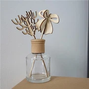 Prazne Difuzer boce i reeds